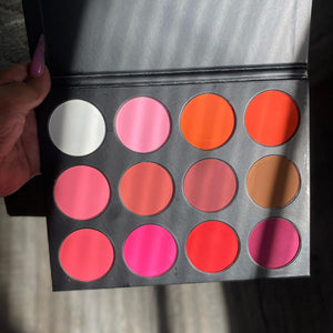 Shut the Blush Up palette