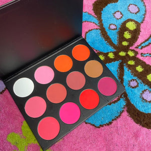 Shut the Blush Up palette